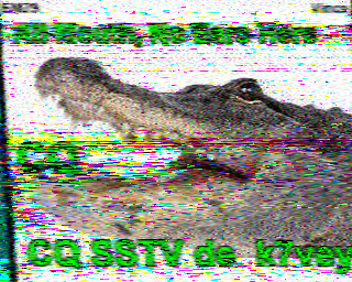 SSTV