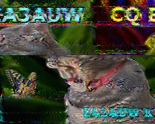 SSTV