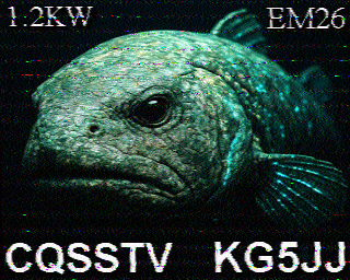 SSTV