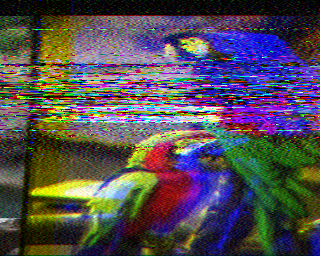 SSTV