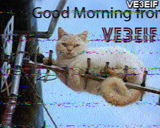 SSTV