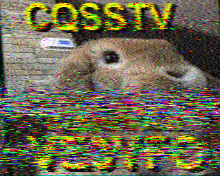 SSTV