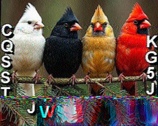 SSTV
