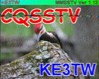 SSTV
