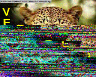 SSTV