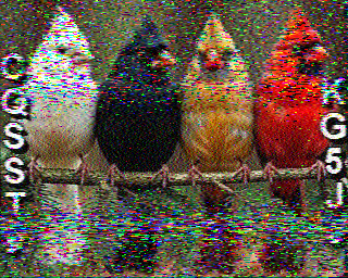 SSTV