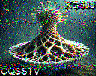 SSTV