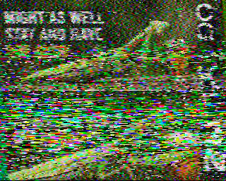 SSTV