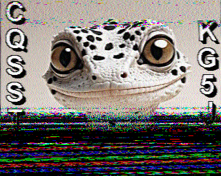 SSTV