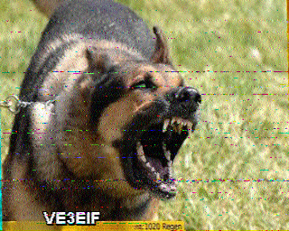 SSTV