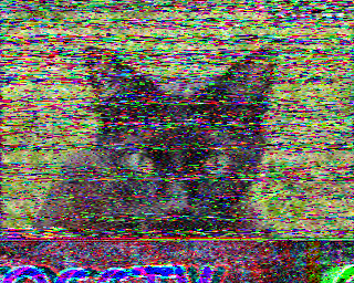 SSTV