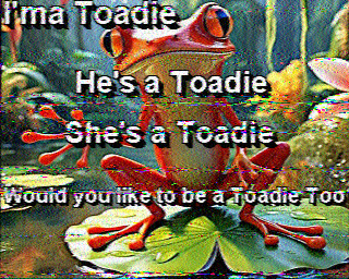 SSTV