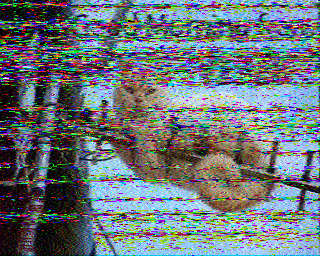 SSTV
