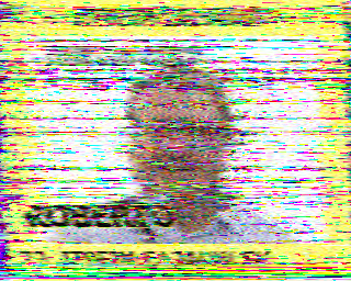 SSTV