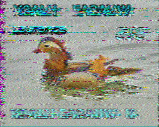 SSTV