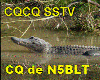 SSTV