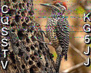 SSTV