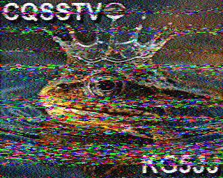 SSTV