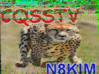 SSTV