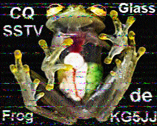 SSTV