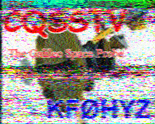 SSTV