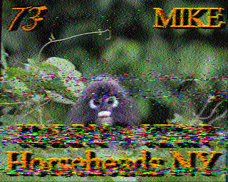 SSTV