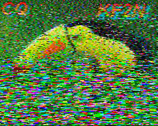 SSTV