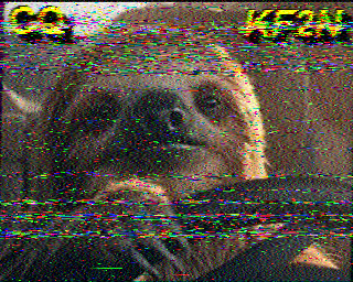 SSTV