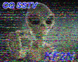 SSTV