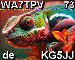 SSTV