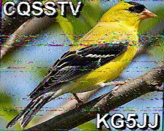 SSTV