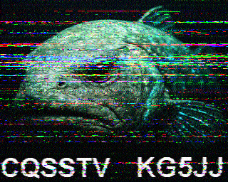 SSTV