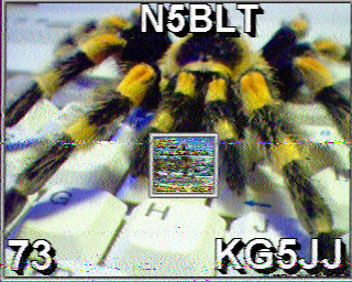 SSTV