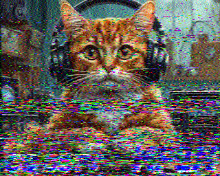 SSTV
