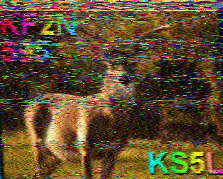 SSTV