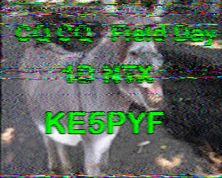 SSTV