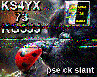 SSTV