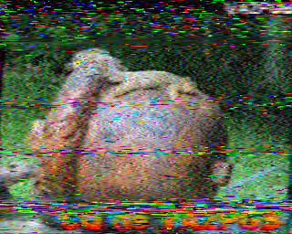 SSTV