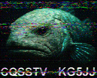 SSTV