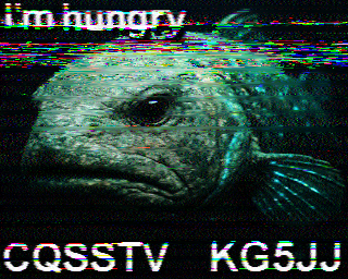 SSTV
