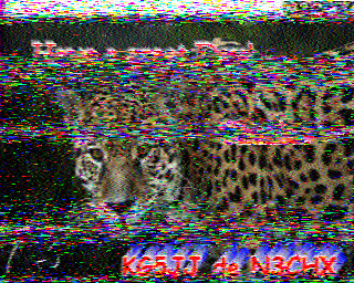 SSTV