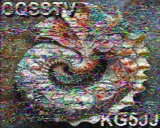 SSTV