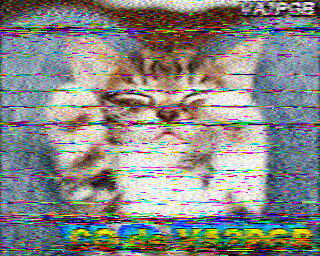 SSTV