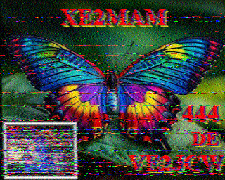 SSTV