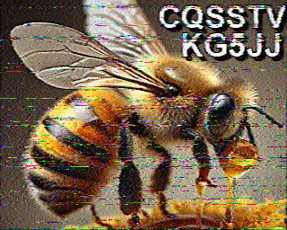 SSTV