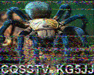 SSTV