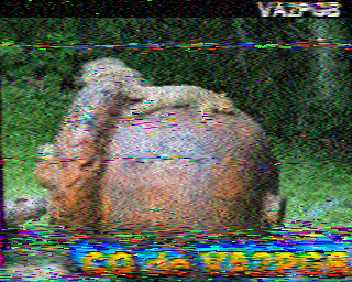 SSTV