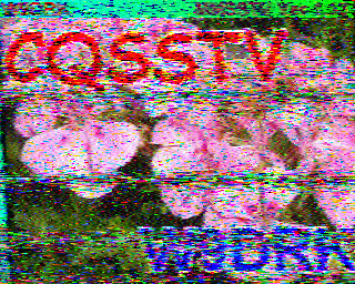 SSTV