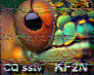 SSTV