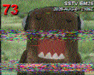 SSTV